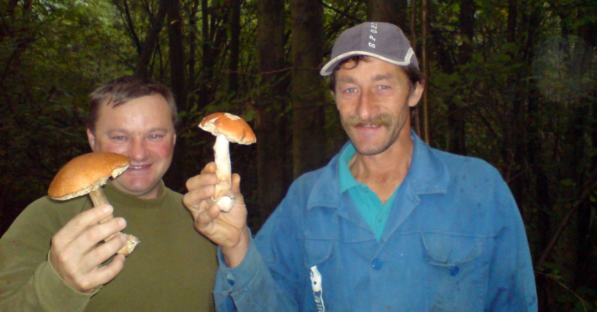 Mushroom Hunting in Wisconsin